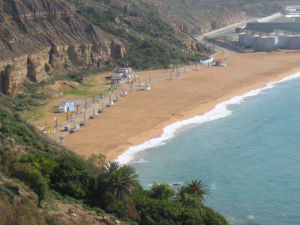 c safi